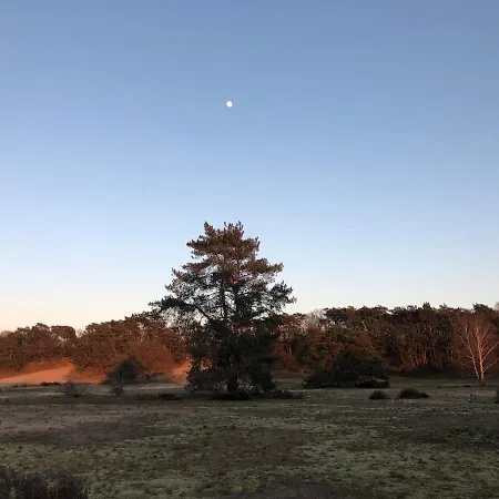 Bonte Specht بيت للعطل