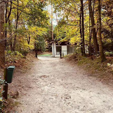 Bonte Specht * Otterlo