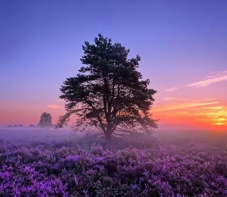 بيت للعطل Bonte Specht *