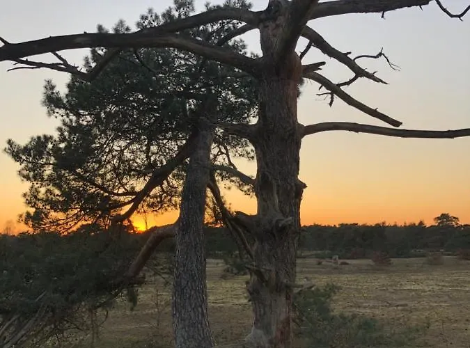 Bonte Specht Semesterbostad *