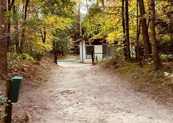 Bonte Specht * Otterlo