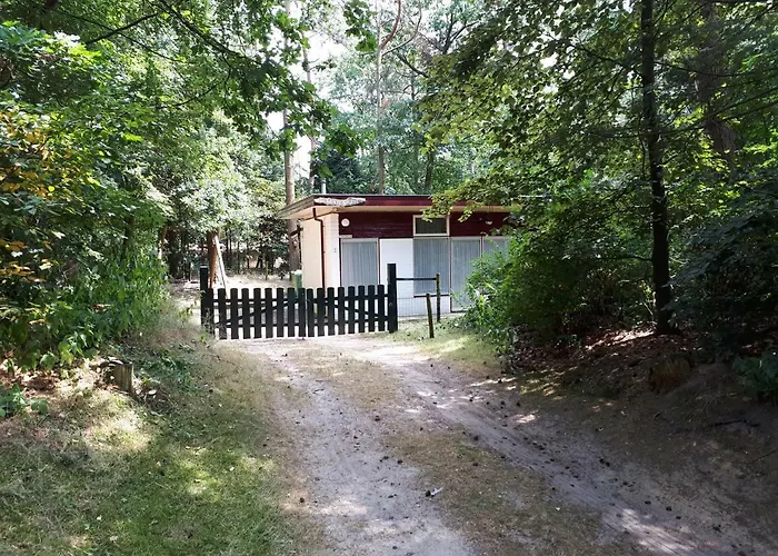 Bonte Specht * Otterlo