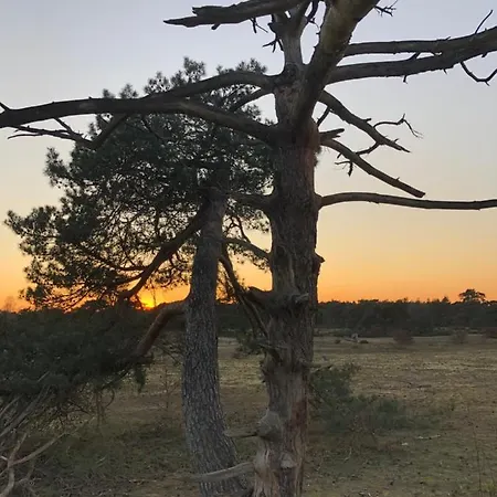 Bonte Specht 別荘 *