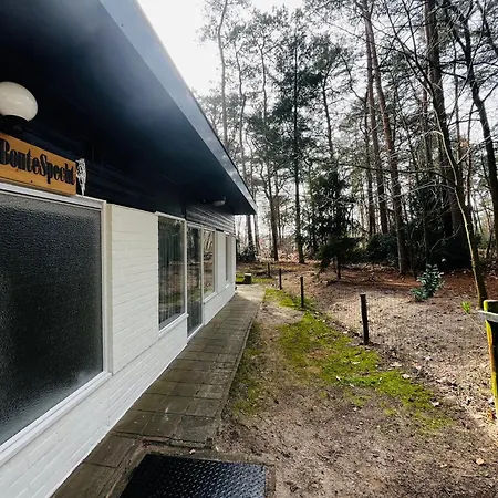 Bonte Specht Ferienhaus *