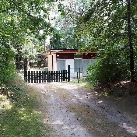 Bonte Specht * オッテルロ