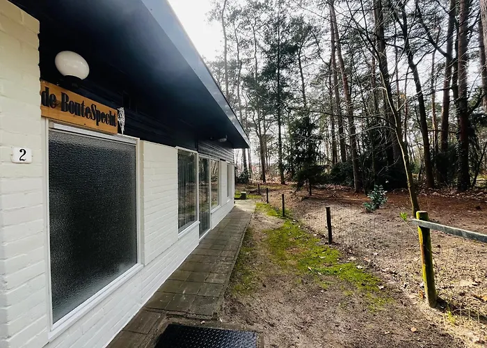 Bonte Specht Ferienhaus *